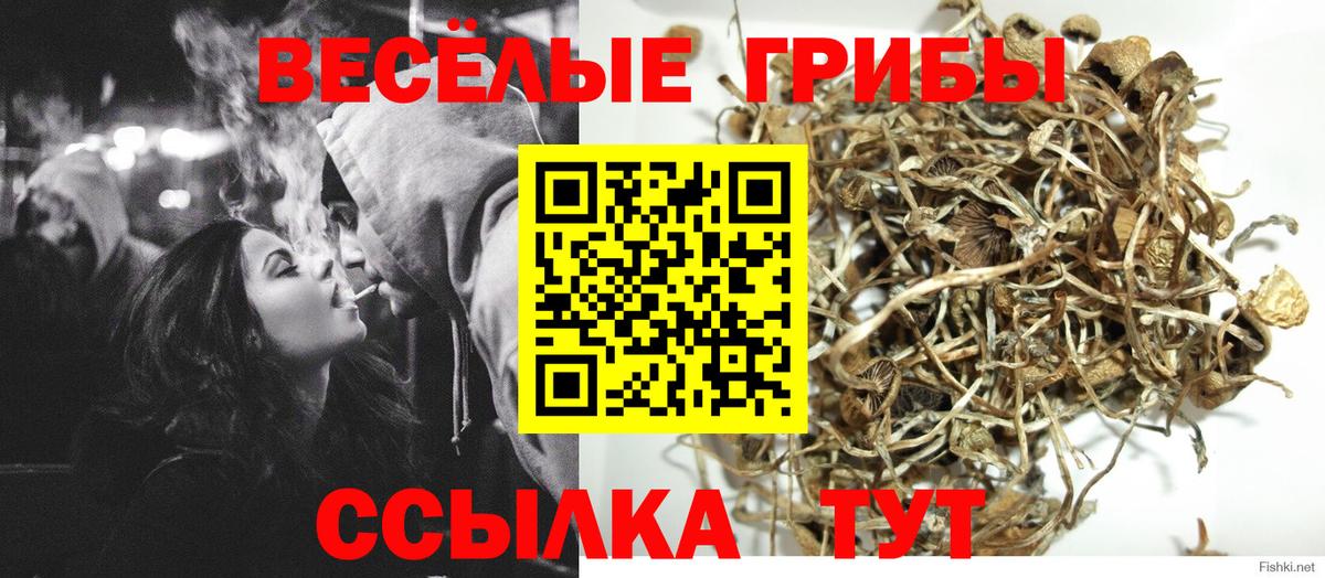 Галлюциногенные грибы ЛСД  Вход с VPN  Учалы 